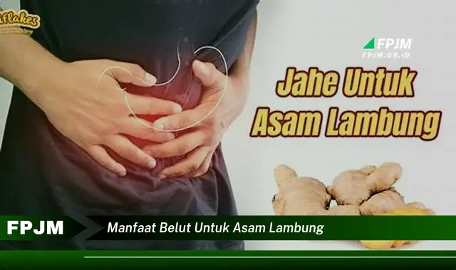 manfaat belut untuk asam lambung manfaat belut untuk asam lambung