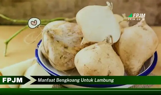 manfaat bengkoang untuk lambung