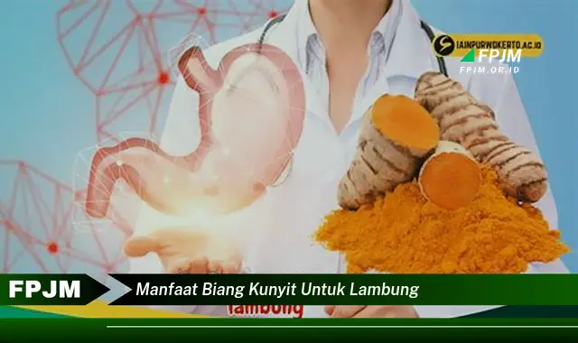 manfaat biang kunyit untuk lambung manfaat biang kunyit untuk lambung