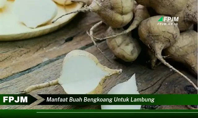 manfaat buah bengkoang untuk lambung