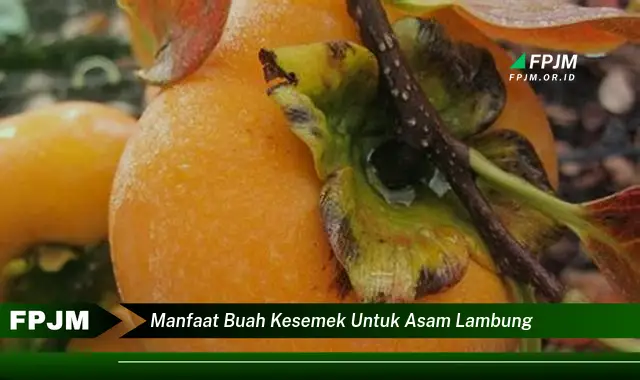 manfaat buah kesemek untuk asam lambung