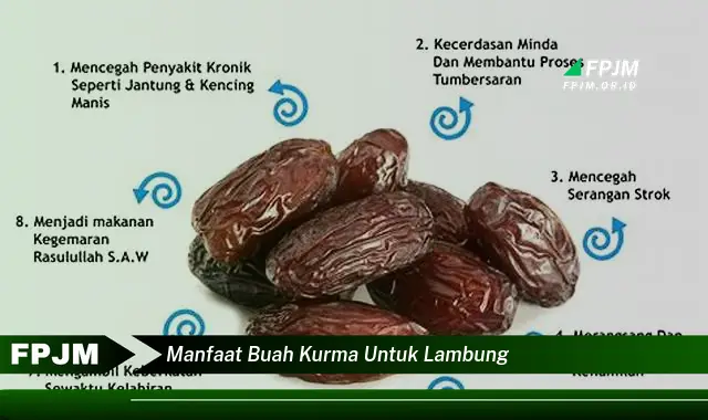 manfaat buah kurma untuk lambung manfaat buah kurma untuk lambung