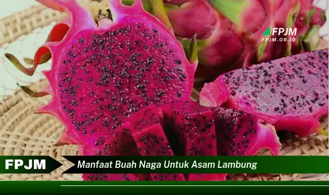 manfaat buah naga untuk asam lambung manfaat buah naga untuk asam lambung