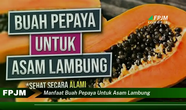 manfaat buah pepaya untuk asam lambung