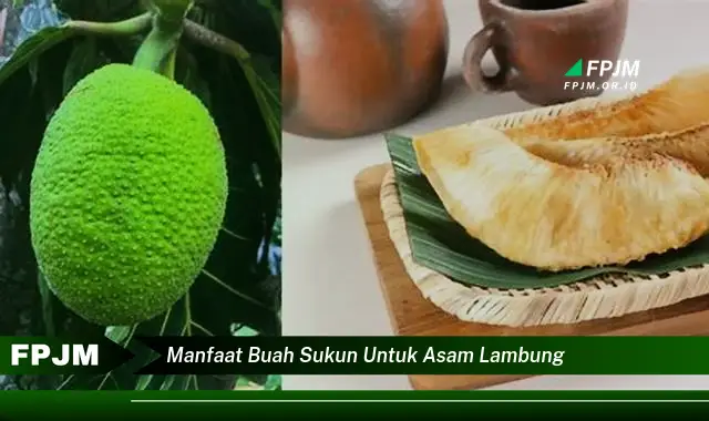 manfaat buah sukun untuk asam lambung