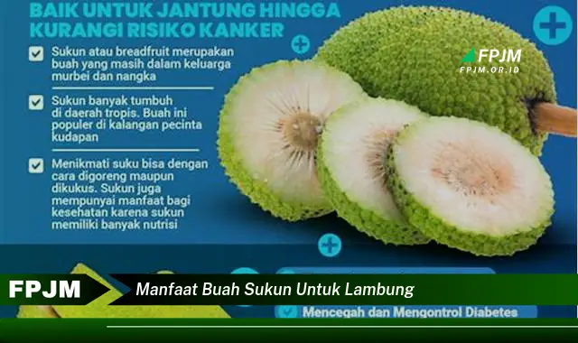 manfaat buah sukun untuk lambung