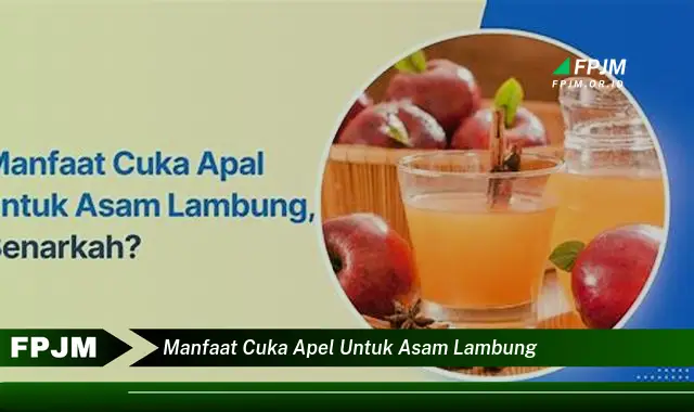 manfaat cuka apel untuk asam lambung