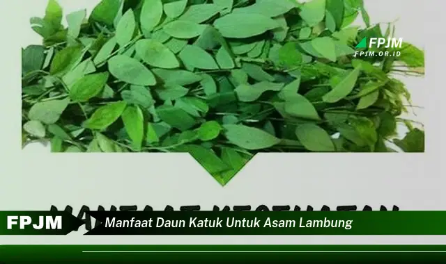 manfaat daun katuk untuk asam lambung