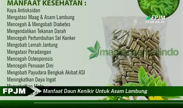 manfaat daun kenikir untuk asam lambung