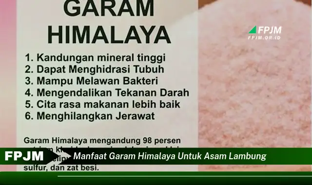 manfaat garam himalaya untuk asam lambung