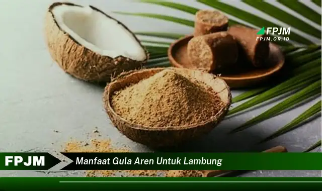 manfaat gula aren untuk lambung