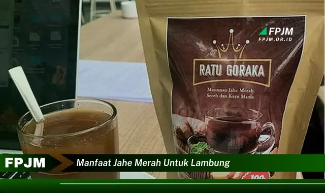 manfaat jahe merah untuk lambung