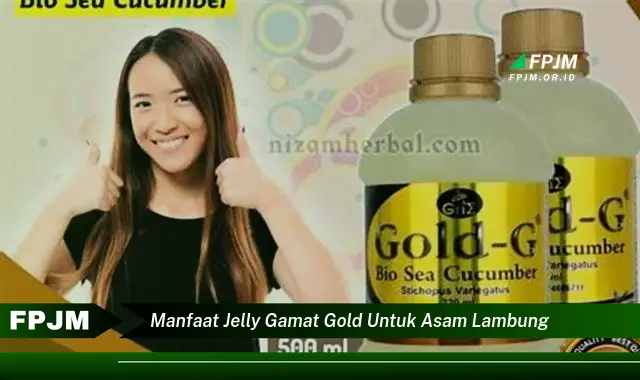manfaat jelly gamat gold untuk asam lambung
