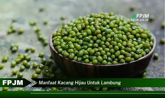 manfaat kacang hijau untuk lambung