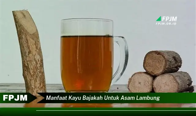 manfaat kayu bajakah untuk asam lambung