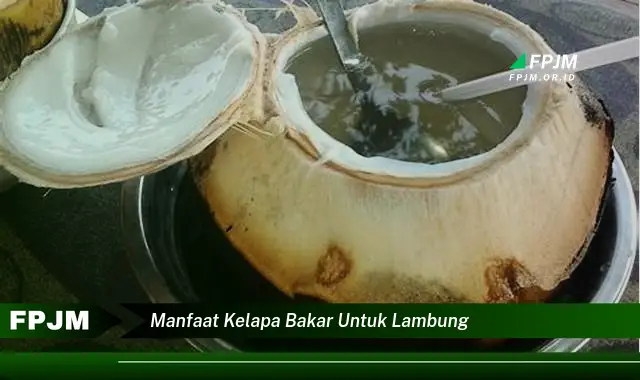 manfaat kelapa bakar untuk lambung