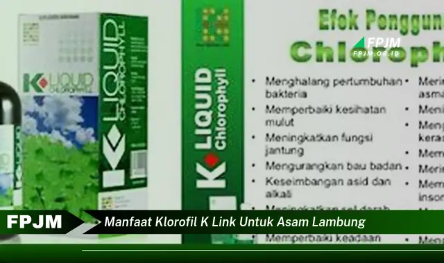 manfaat klorofil k link untuk asam lambung
