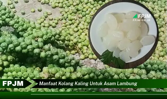 manfaat kolang kaling untuk asam lambung manfaat kolang kaling untuk asam lambung