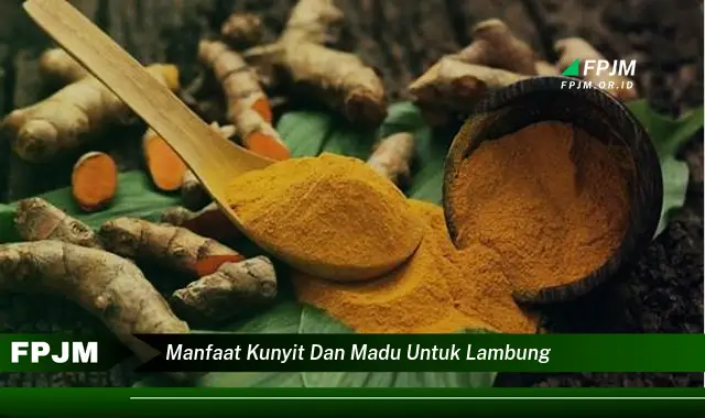 manfaat kunyit dan madu untuk lambung