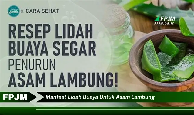 manfaat lidah buaya untuk asam lambung manfaat lidah buaya untuk asam lambung