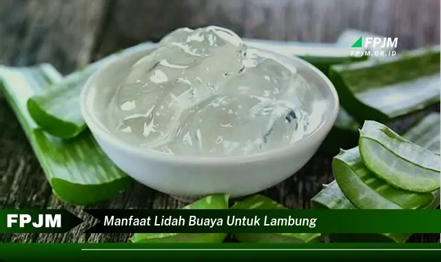 manfaat lidah buaya untuk lambung