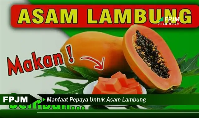 manfaat pepaya untuk asam lambung