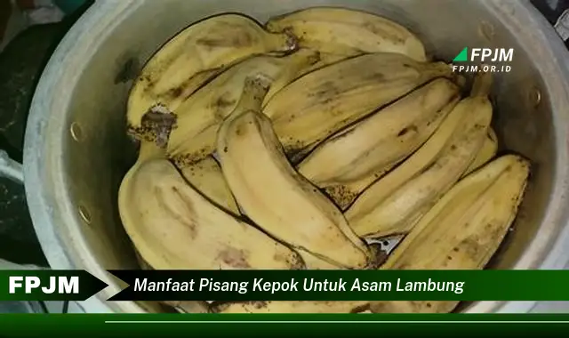 manfaat pisang kepok untuk asam lambung