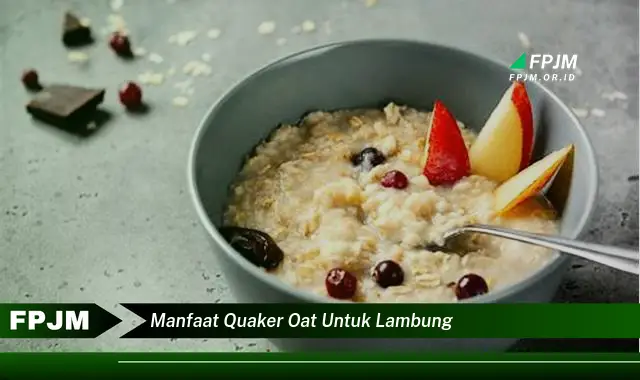 manfaat quaker oat untuk lambung