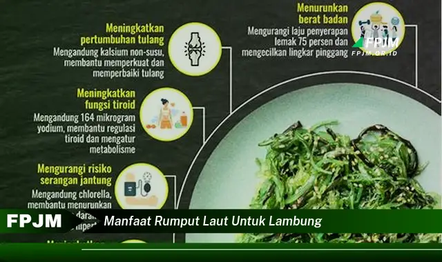 manfaat rumput laut untuk lambung