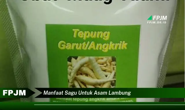 manfaat sagu untuk asam lambung