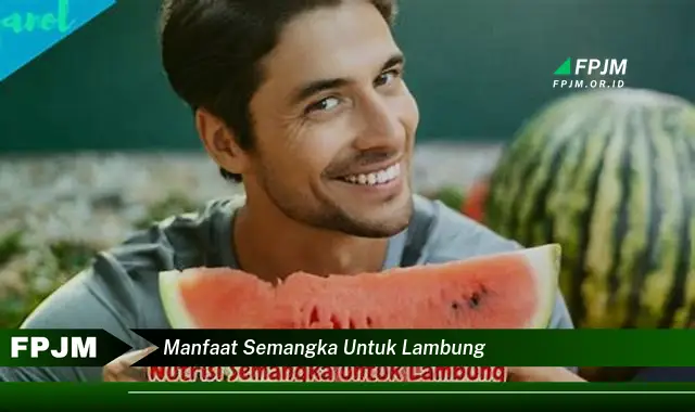 manfaat semangka untuk lambung manfaat semangka untuk lambung