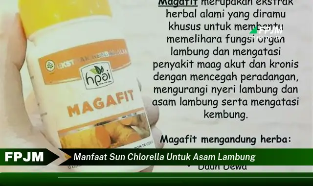 manfaat sun chlorella untuk asam lambung