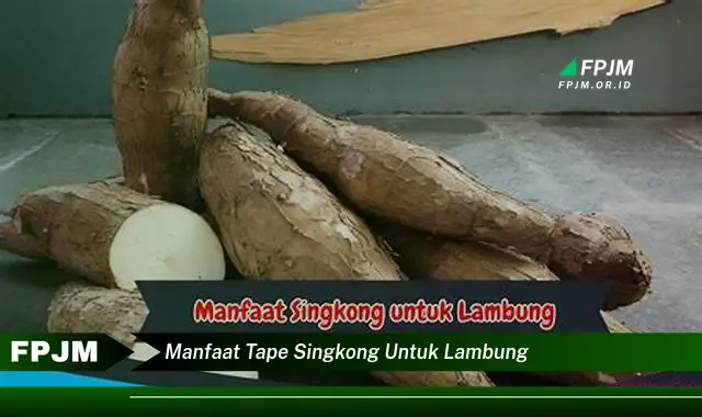 manfaat tape singkong untuk lambung