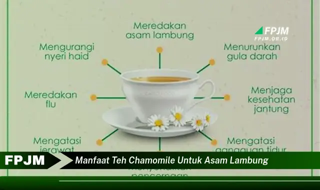 manfaat teh chamomile untuk asam lambung
