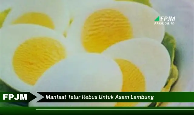 manfaat telur rebus untuk asam lambung