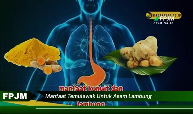 manfaat temulawak untuk asam lambung