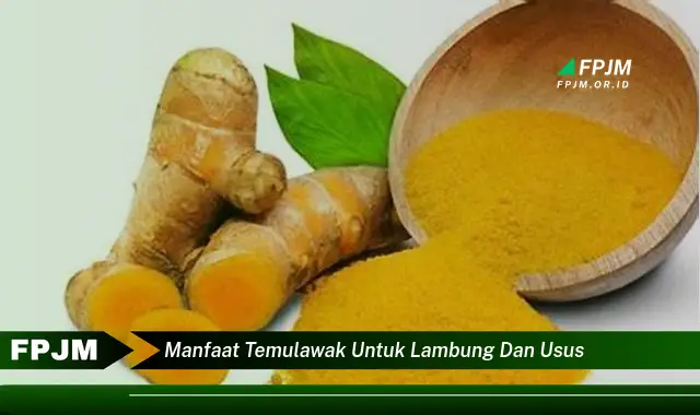 manfaat temulawak untuk lambung dan usus