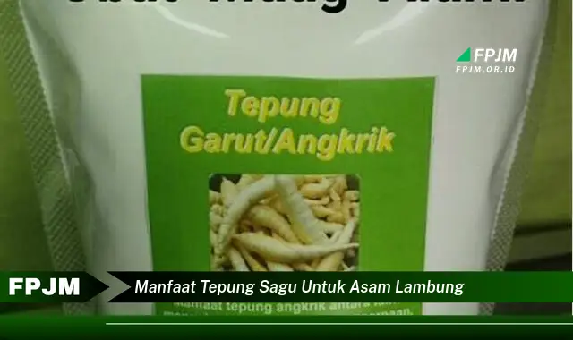 manfaat tepung sagu untuk asam lambung