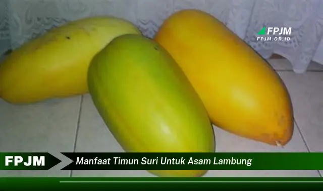 manfaat timun suri untuk asam lambung