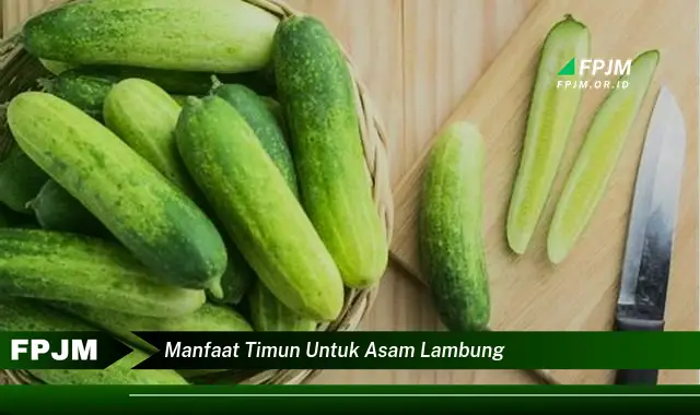 manfaat timun untuk asam lambung manfaat timun untuk asam lambung