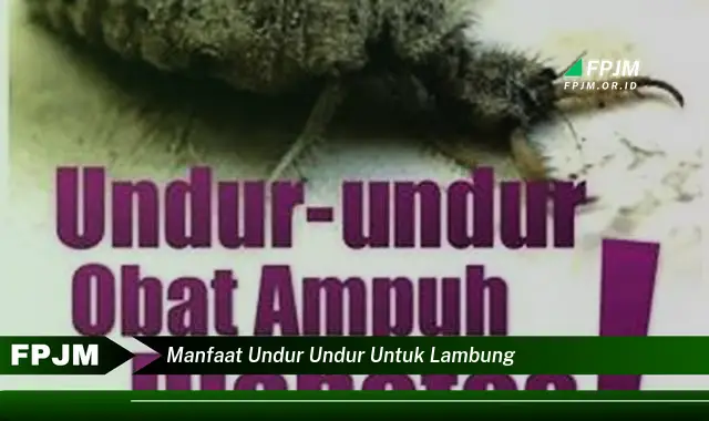 manfaat undur undur untuk lambung manfaat undur undur untuk lambung
