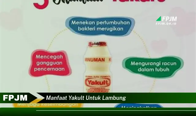 manfaat yakult untuk lambung