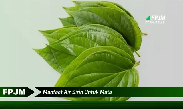 manfaat air sirih untuk mata