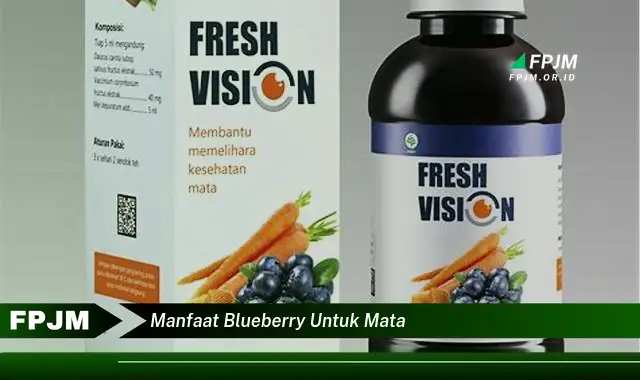 manfaat blueberry untuk mata