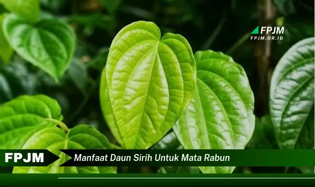 manfaat daun sirih untuk mata rabun