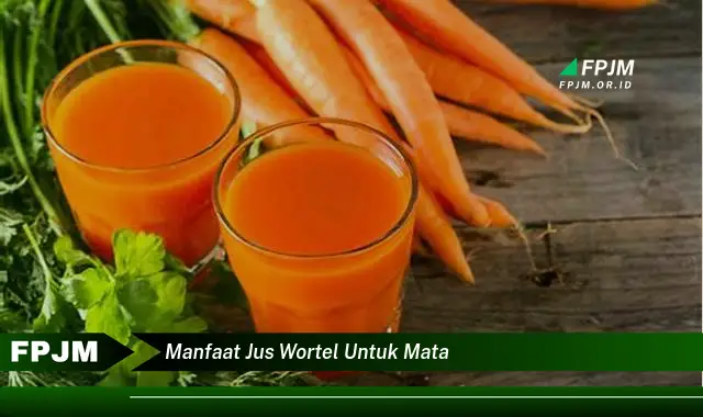 manfaat jus wortel untuk mata manfaat jus wortel untuk mata