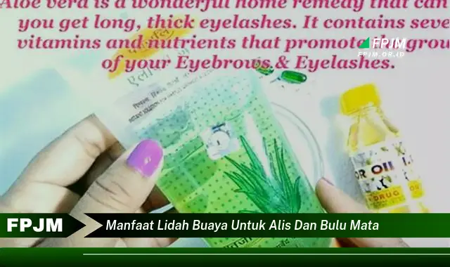 manfaat lidah buaya untuk alis dan bulu mata