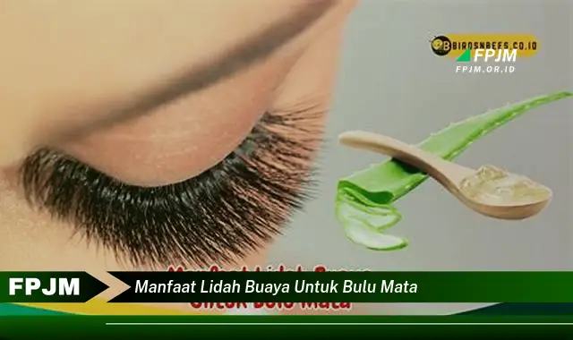 manfaat lidah buaya untuk bulu mata