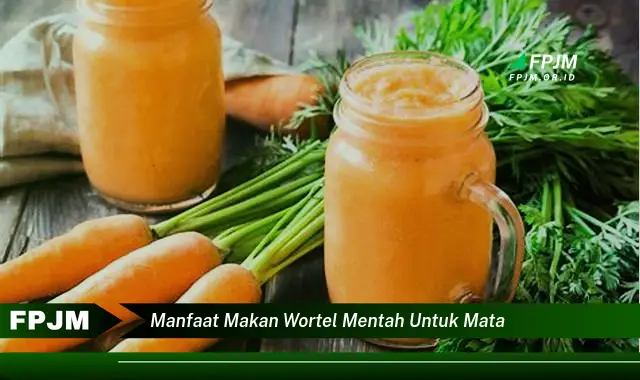 manfaat makan wortel mentah untuk mata