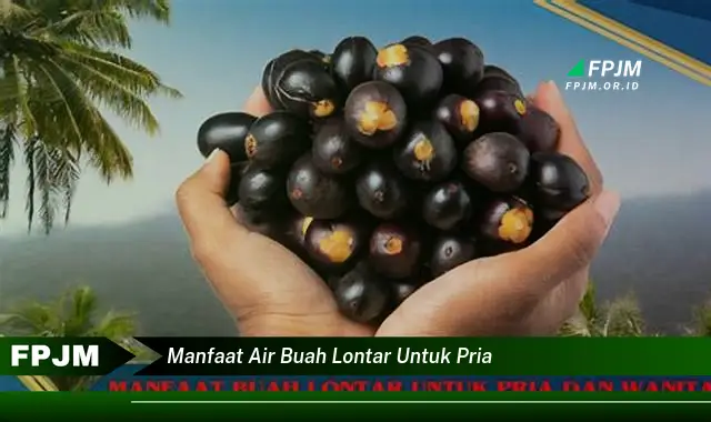 manfaat air buah lontar untuk pria